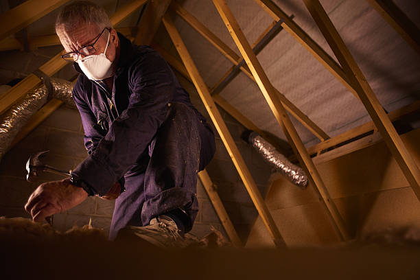 Best Eco-Friendly Insulation in San Francisco, CA